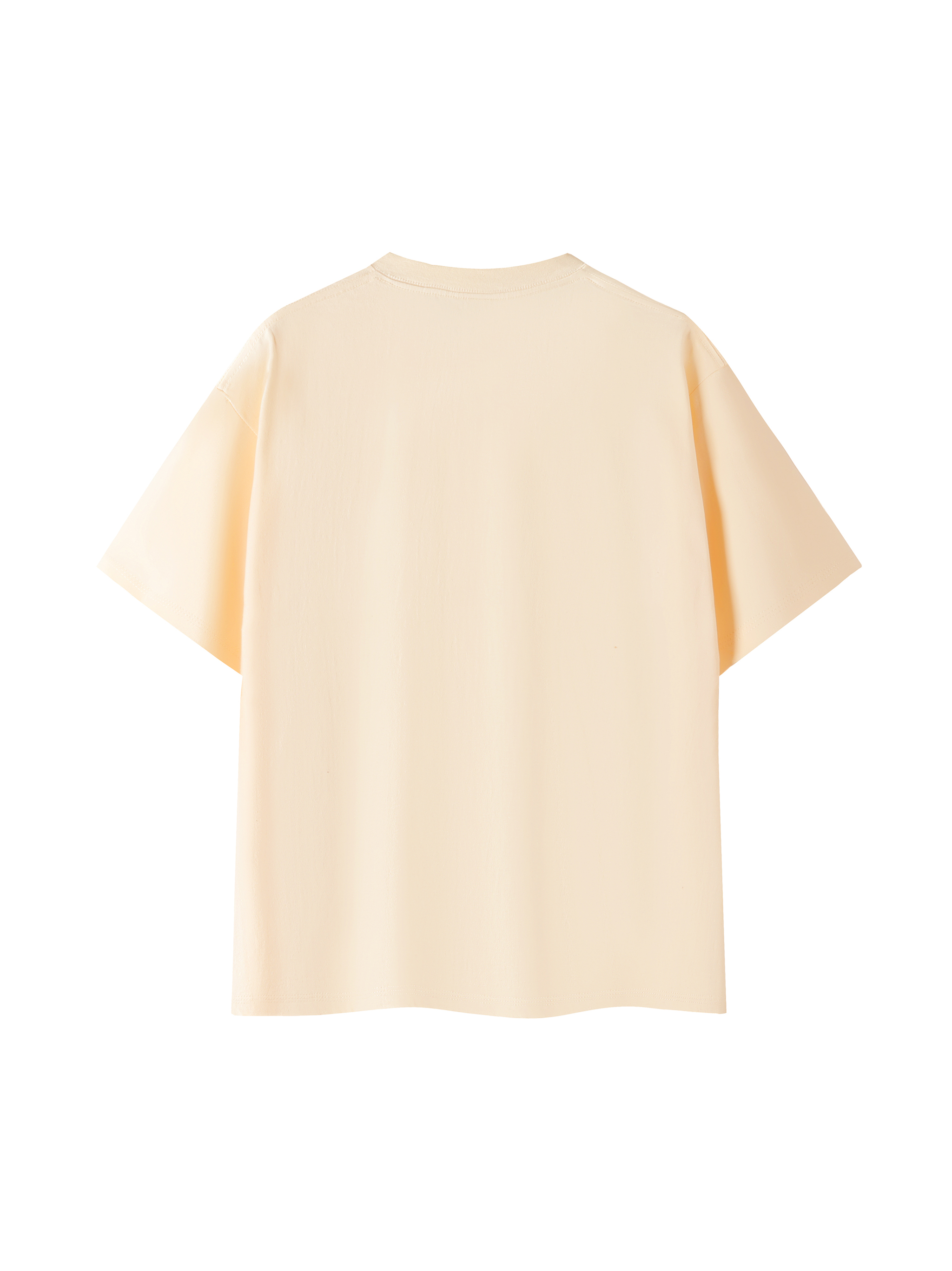 Essential Oversized Cotton T-Shirt #RT0063 | TAPSTITCH
